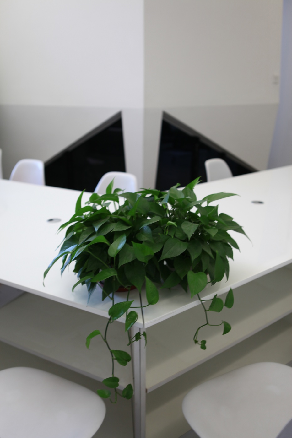 嘉定區(qū)小清新辦公室裝修設(shè)計案例-第6張圖片-上海古都建筑設(shè)計集團 嘉定區(qū)小清新辦公室裝修設(shè)計案例-第6張圖片-上海古都建筑設(shè)計集團