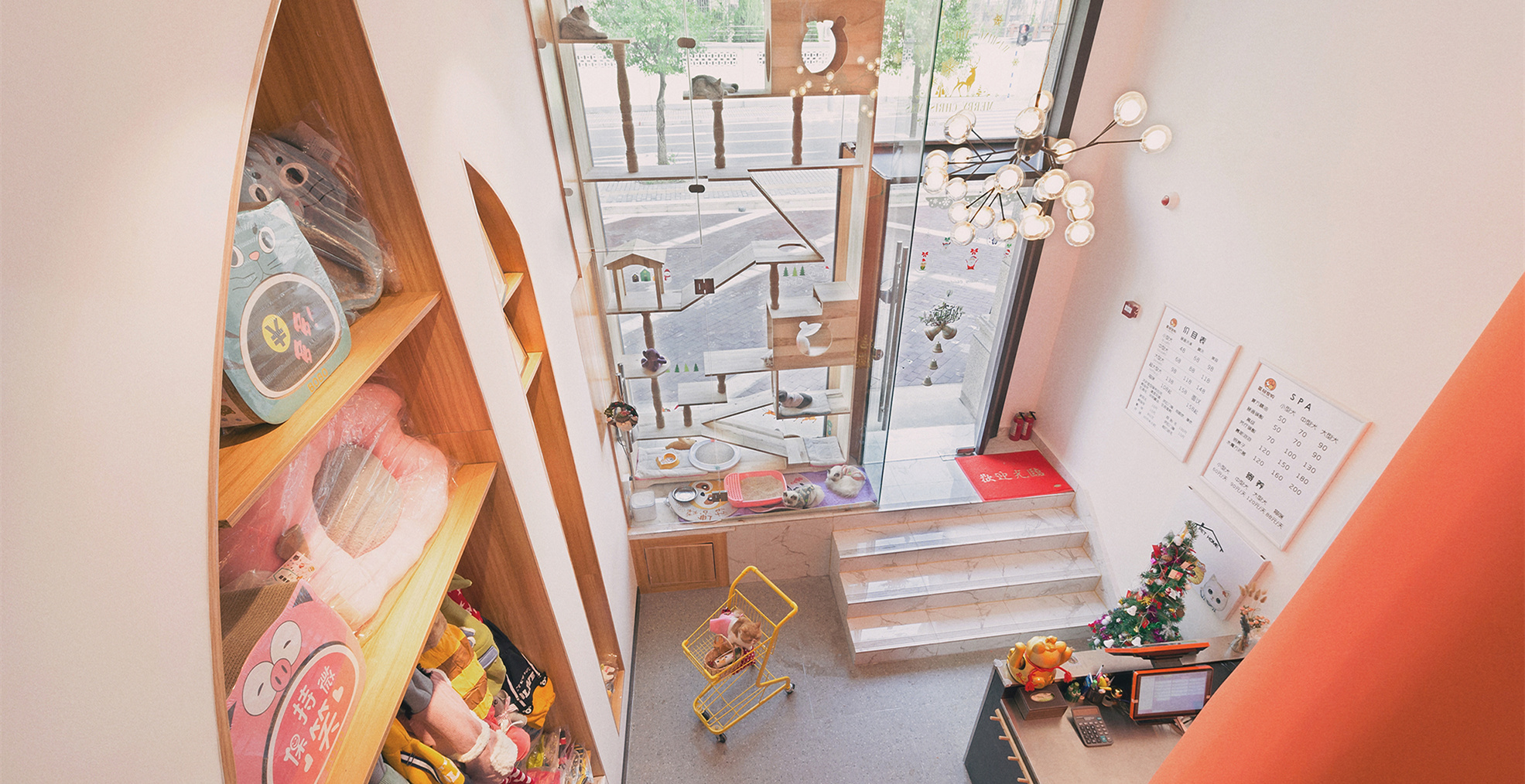 青浦區(qū)小清新寵物店裝修設計-第3張圖片-上海古都建筑設計集團